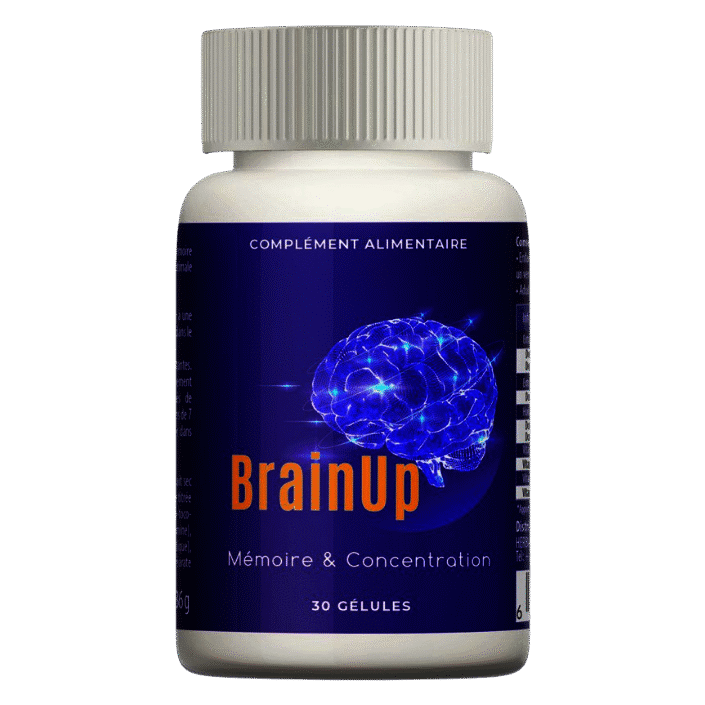 BRAIN UP