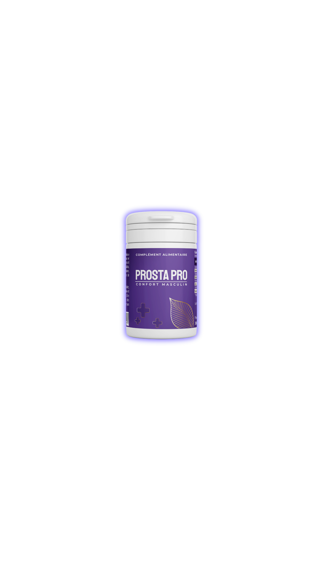 PROSTA PRO